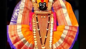 51ybZ+WxzgL._AC_UF1000,1000_QL80_